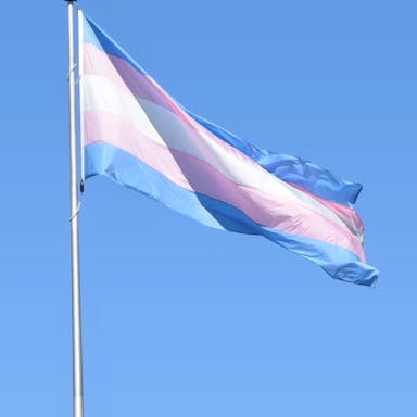 Peru Classifies Trans People As "Mentally Ill" Following Government's Latest Decree 