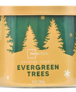 Mainstays Evergreen Spruce Christmas Holiday Candle