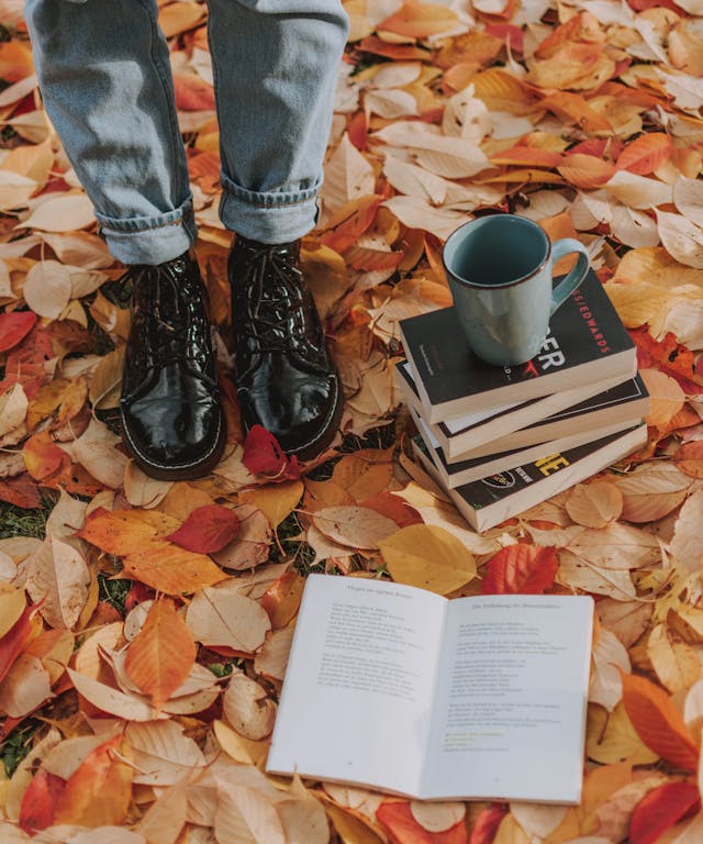 15 Books That Will Get You In Your Fall Feels
