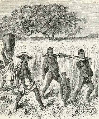 Slave-driving Africa, 1878