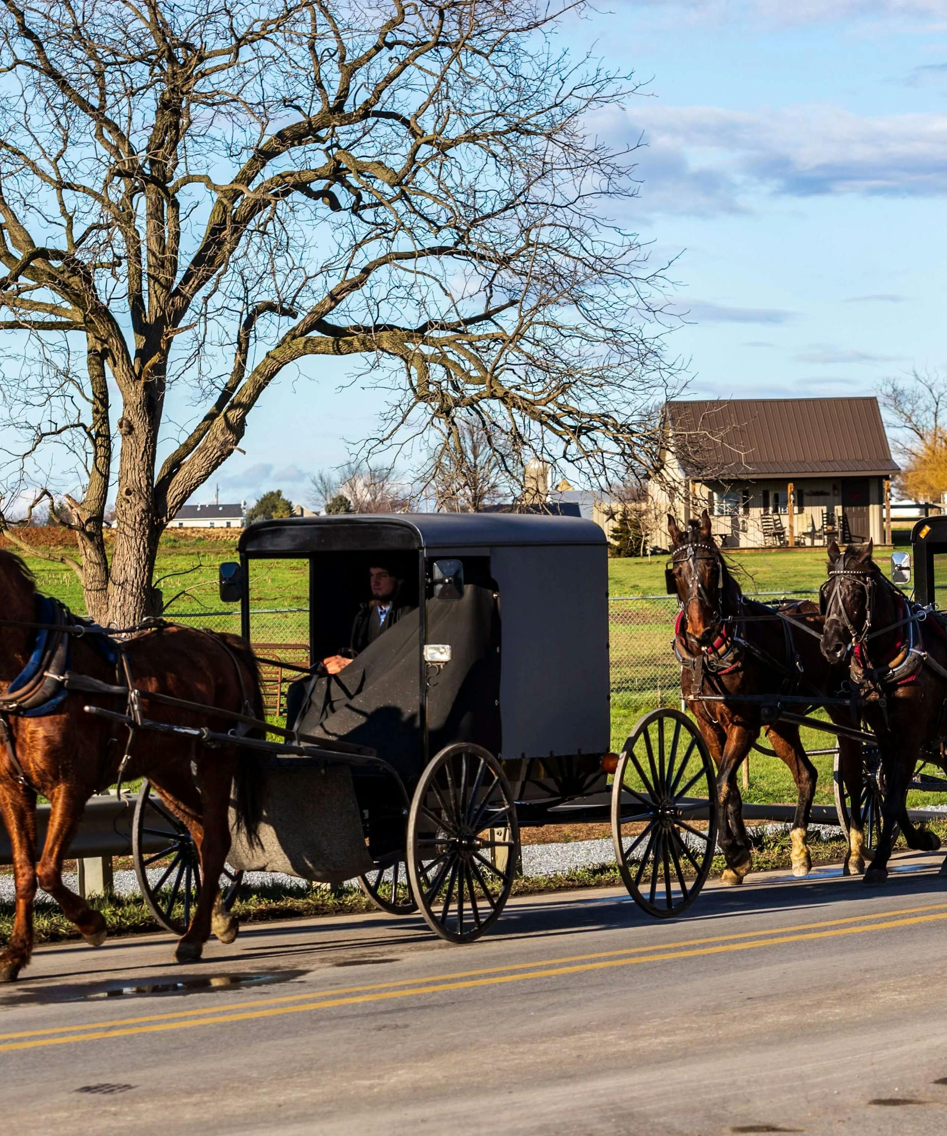 Pennsylvania Amish Community May Have Achieved First Herd Immunity In U.S.