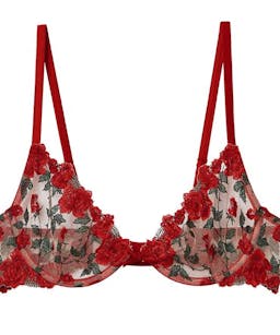 Roses and Thorns Embroidery Demi Bra