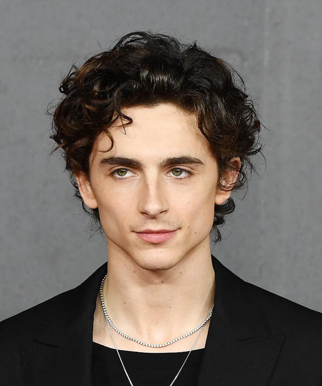 Timothée Chalamet's Before-And-After Sparks "Weight Gain" Rumors