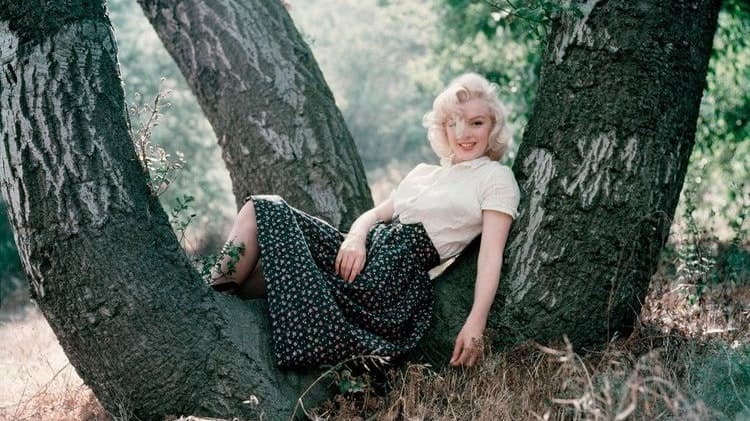 Marilyn monroe sales gingham trousers